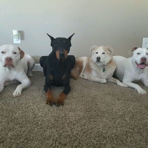 Meet your Posher, Jenna